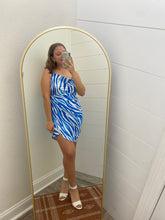 Blue Zebra Dress