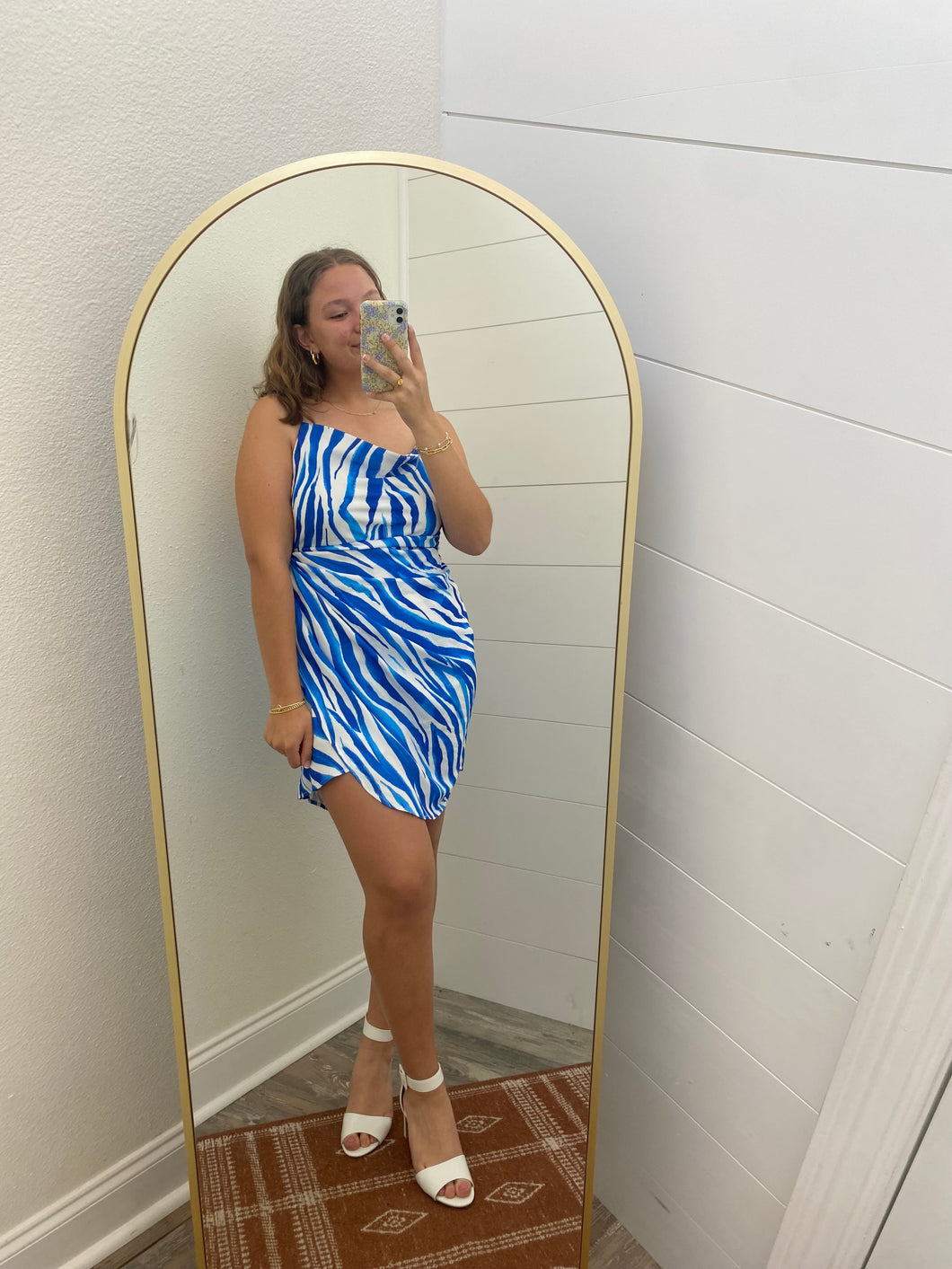 Blue Zebra Dress